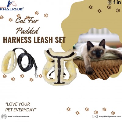 Khalique Sons International: Your Trusted Partner for Premium Cat Harnesses