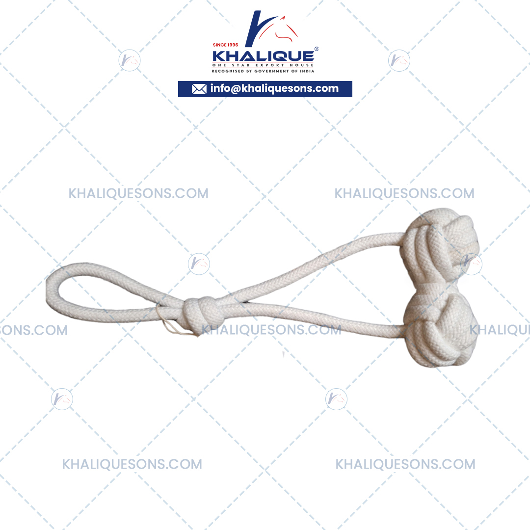 Two Ball Bungee Cord For Dog