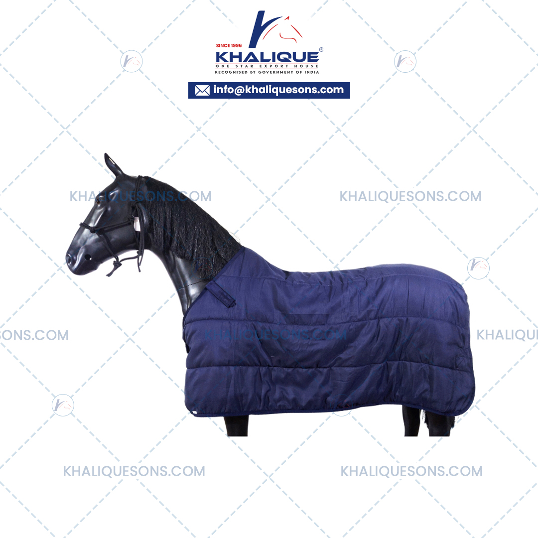 Horse Under Rug