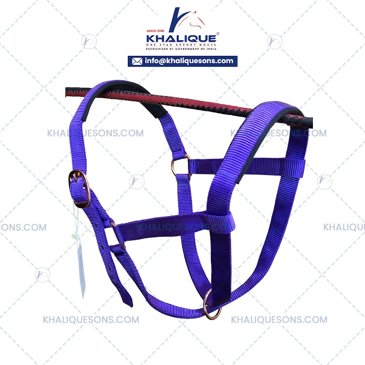 Alpaca Halter w Neoprene Padding