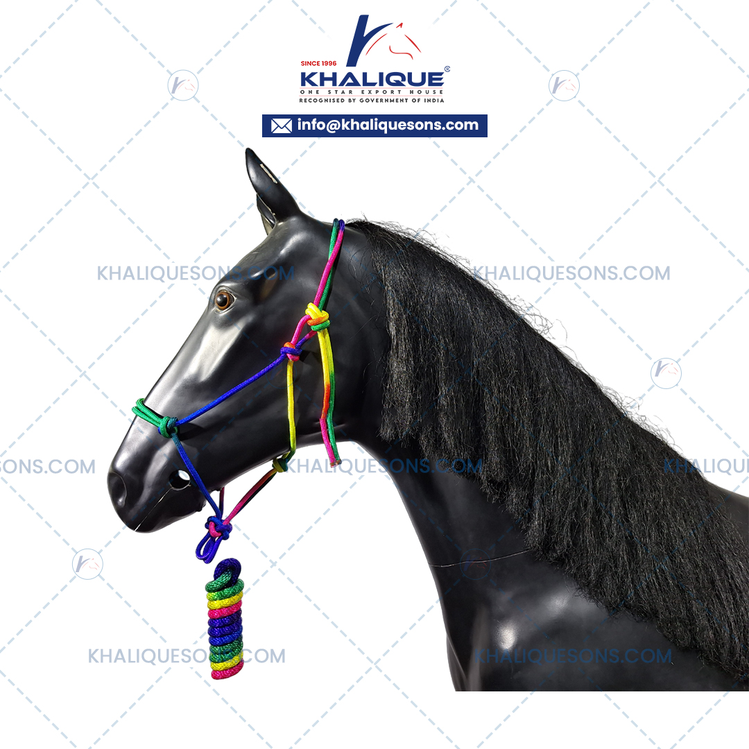 Horse PP Knotted Halter With Rainbow Lead