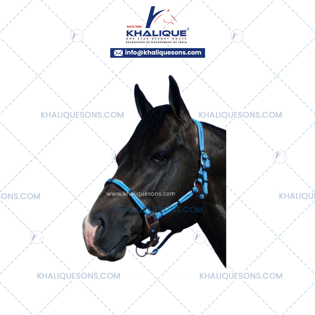 Horse Tie Rope Halter with fitting