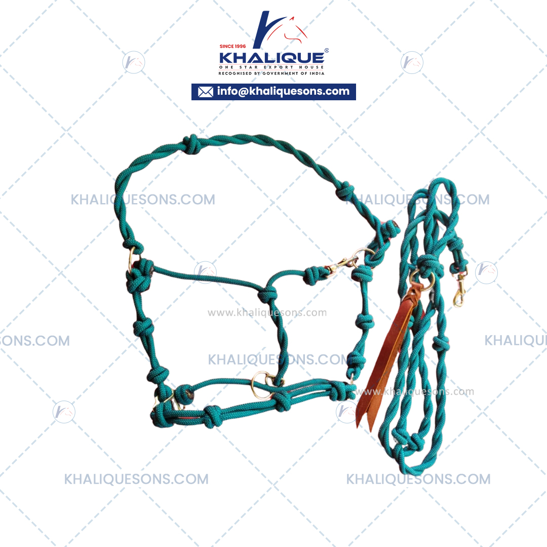 Teal Rope Halter with Rope