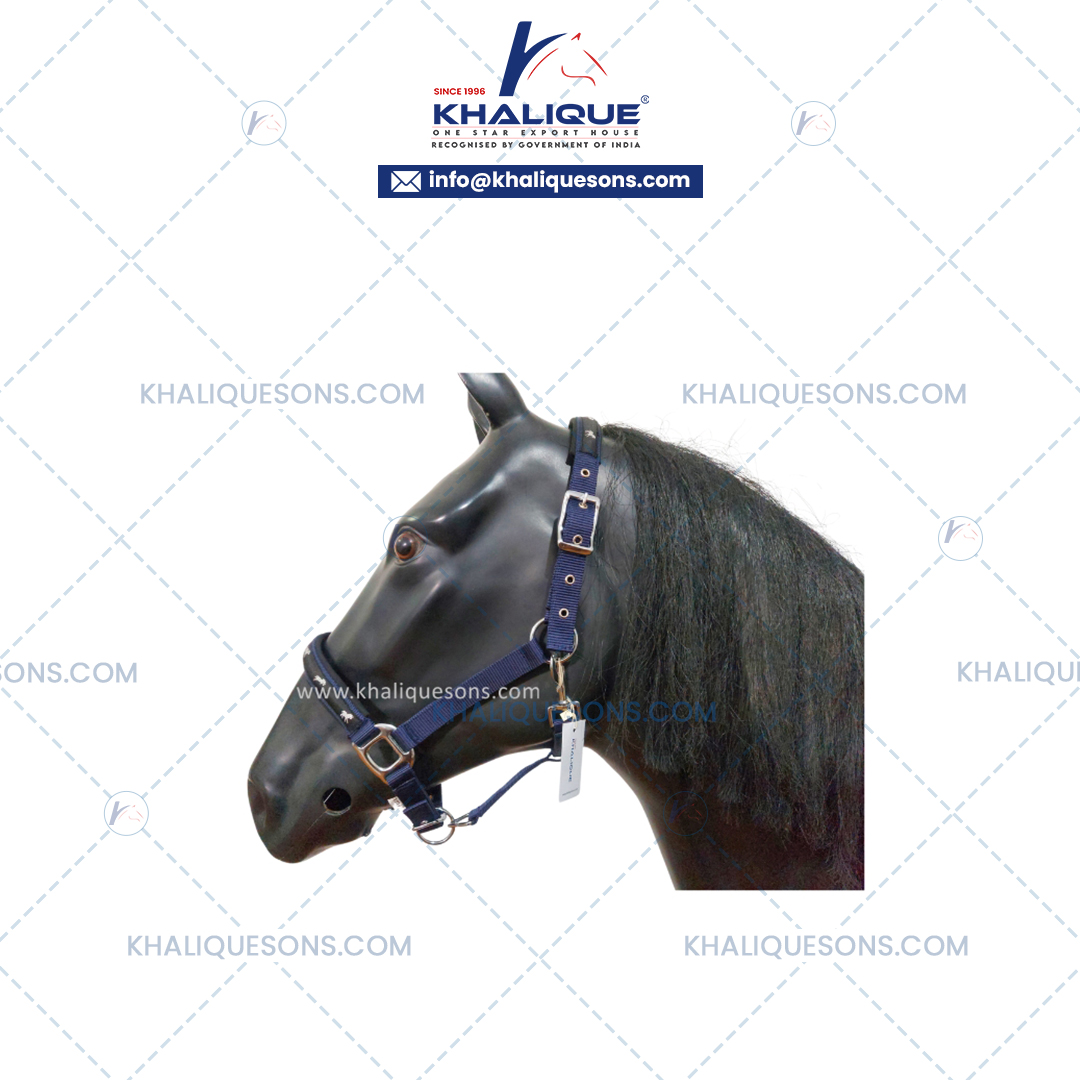 Navy Halter w Horse