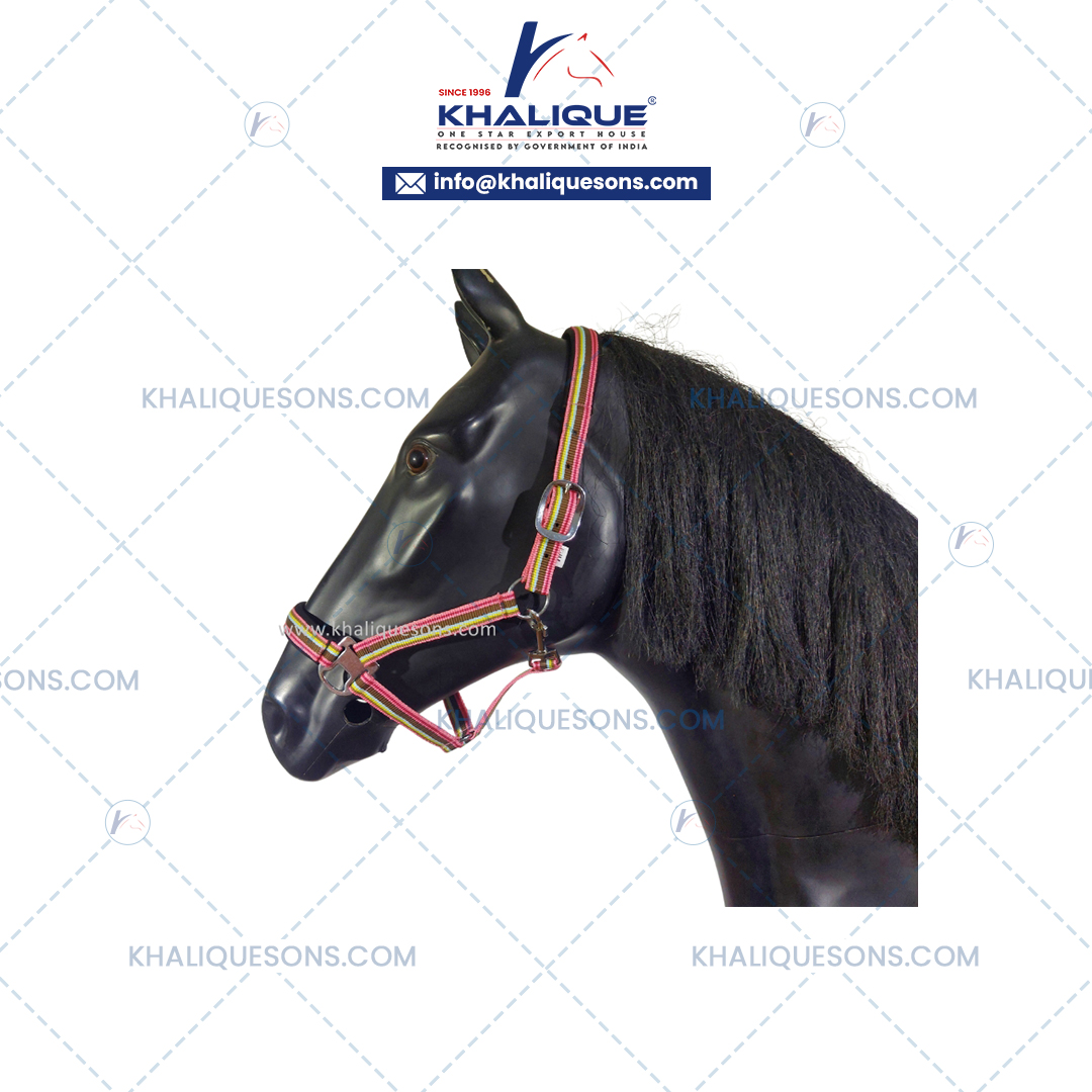 Horse Striped Halter