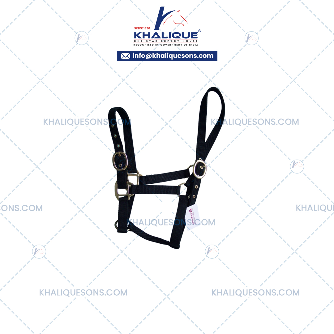 Horse Two Buckle Halter