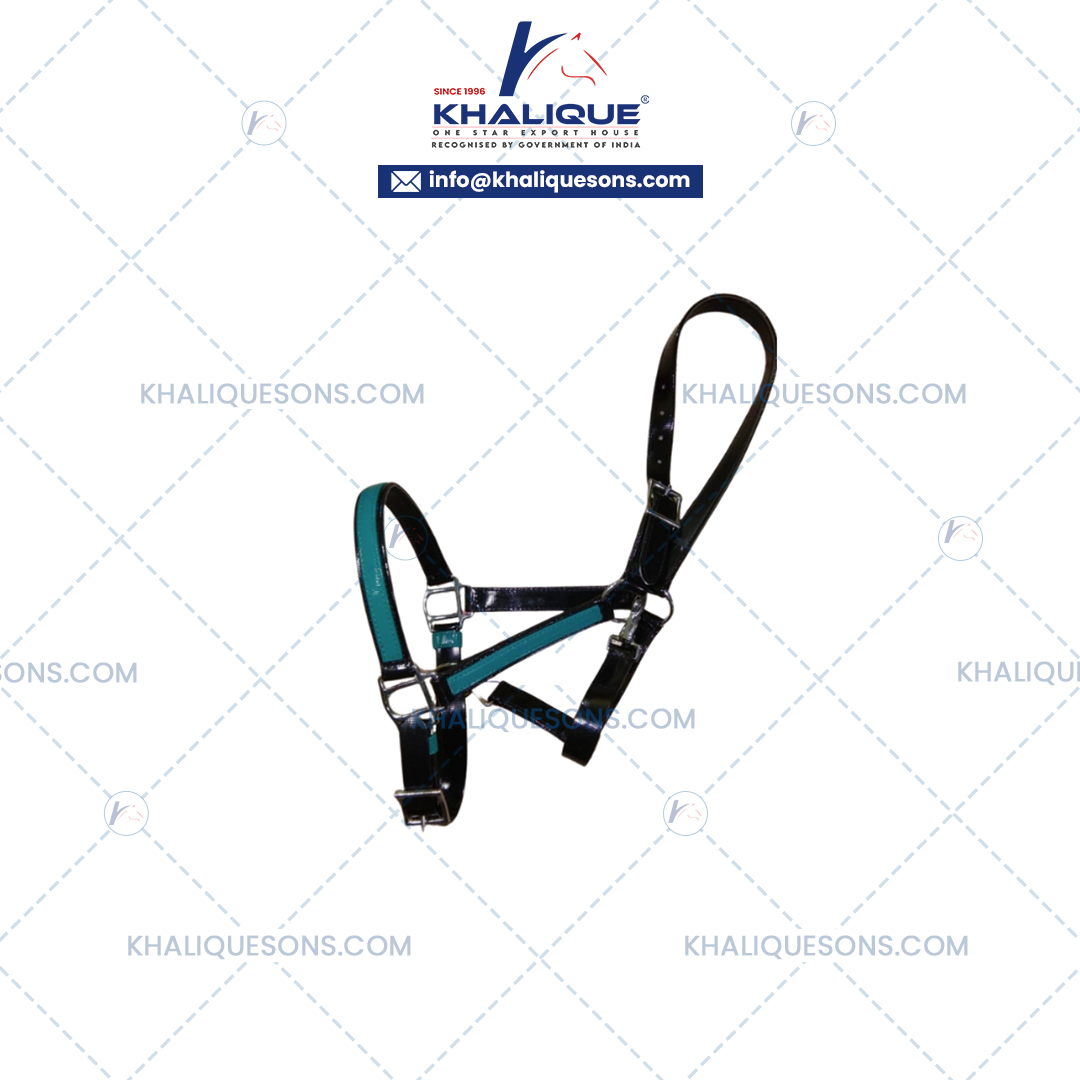 Horse Two Tone PVC Halter